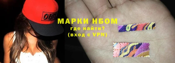 твердый Снежногорск