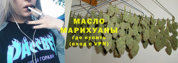 твердый Снежногорск