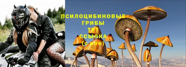 твердый Снежногорск