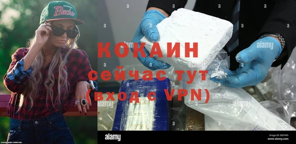 твердый Снежногорск