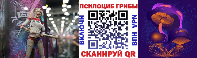 Галлюциногенные грибы Psilocybine cubensis  Купить где  Скопин 